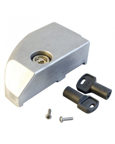 Дверца замка разблокировки BK Came 119RIBK012 в Калуге Запчасти для шлагбаумов и автоматики Pintop.ru