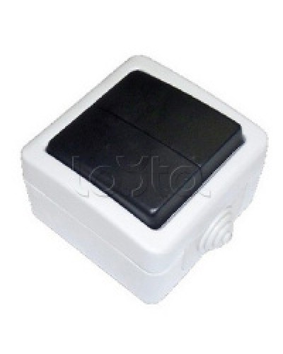 Экопласт EF602SA Переключатель 2-полюсный, двухклавишный с 2-х мест (сх.6+6) 10A (сер.) в Калуге Розетки компьютерные и телефонные Pintop.ru