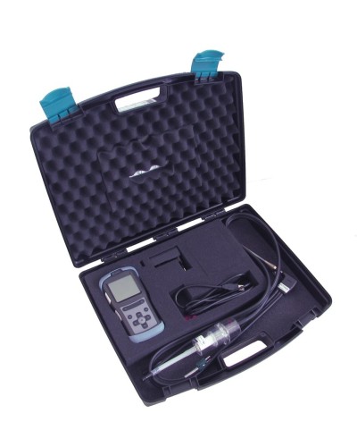 Газоанализатор Seitron CHEMIST 103 в Калуге Технологические извещатели Pintop.ru