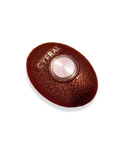 Кнопка открывания двери Цифрал КОДсП-4 в Калуге Многоабонентные устройства Pintop.ru