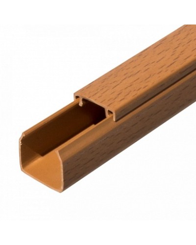 Кабель-канал бук 2-й замок в п/э 25х25 (32 м/уп) Промрукав (PR03.0198) в Калуге Огнестойкие кабельные линии Pintop.ru