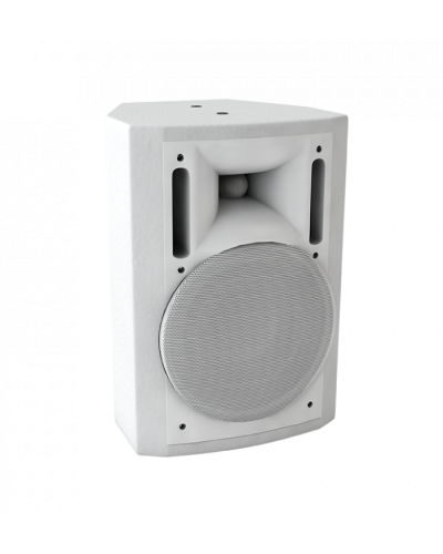 Громкоговоритель настенный Sonar SWM-30W в Калуге Система оповещения и трансляции Sonar Pintop.ru