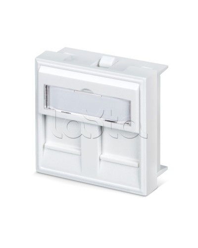 Вставка 45x45 (аналог Mosaic) для 2 модулей формата Keystone Jack Cabeus FP-45-2M в Калуге Модули Keystone Pintop.ru