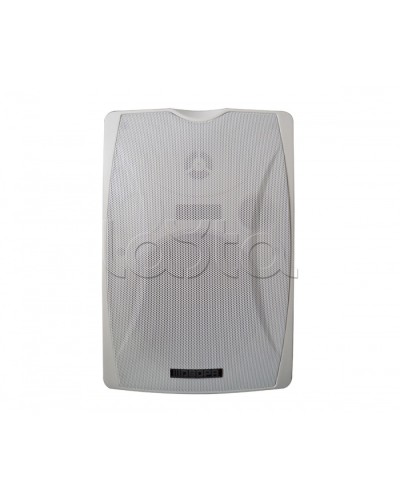 IP-громкоговоритель DSPPA POE-6463W в Калуге Система оповещения и трансляции Dsppa Pintop.ru