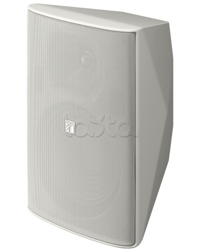 Громкоговоритель 2 полосный TOA F-2000 WT в Калуге Системы оповещения и трансляции TOA Pintop.ru