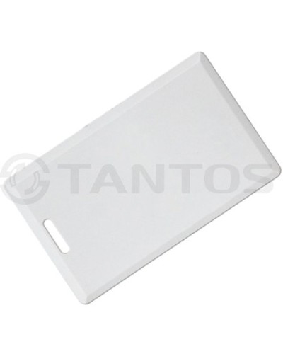 Карта толстая формата Temic Tantos Temic (толстая) TS в Калуге Оптовые идентификаторы Pintop.ru