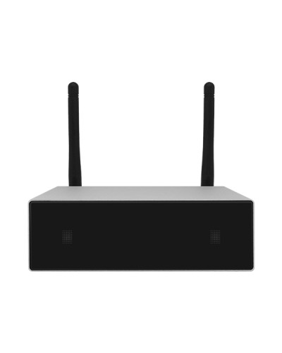 Усилитель потоковой передачи WIFI DSPPA DW-0250 в Калуге Система оповещения и трансляции Dsppa Pintop.ru