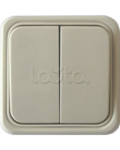 Выключатель двухклавишный открытой установки Экопласт, схема 5, (бежевый) в Калуге Розетки компьютерные и телефонные Pintop.ru