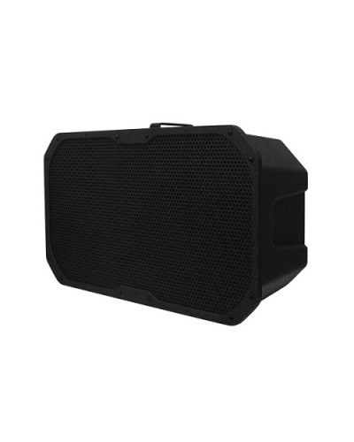 Акустическое устройство DSPPA LRAS-1830 в Калуге Система оповещения и трансляции Dsppa Pintop.ru