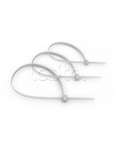 Стяжка нейлоновая неоткрывающаяся, безгалогенная (halogen free) 100x2.5мм, (100 шт) Cabeus CT-100 в Калуге Аксессуары для кабель-канала Pintop.ru