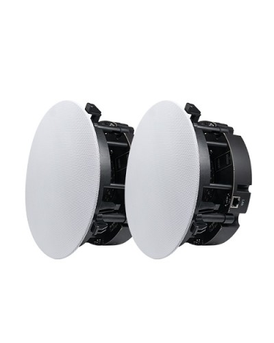 Двухполосный потолочный динамик DSPPA DW-2235 в Калуге Система оповещения и трансляции Dsppa Pintop.ru