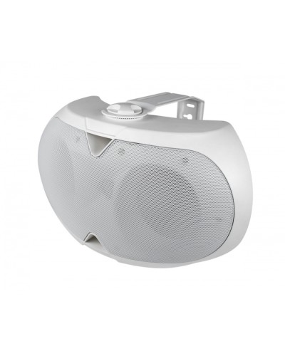 Громкоговоритель настенный 2-х полосный VOLTA ELLIPSE-2440TW в Калуге Система оповещения и трансляции Volta Pintop.ru