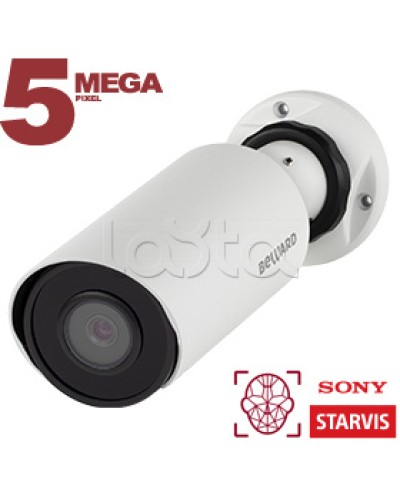 IP-камера видеонаблюдения в стандартном исполнении Beward SV3218R2 2.8 в Калуге IP-камеры Pintop.ru