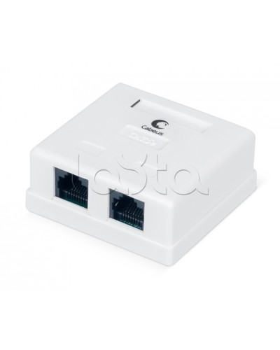 Розетка компьютерная RJ-45, категория 5e, двойная, внешняя, Dual IDC Cabeus WS-8P8C-Cat.5e-2 в Калуге Розетки компьютерные и телефонные Pintop.ru