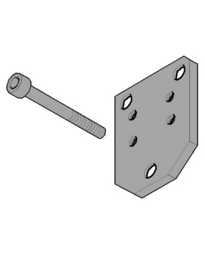 Пластина монтажная FLEX Came 119RID143 в Калуге Запчасти для шлагбаумов и автоматики Pintop.ru