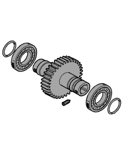 Вал выходной EMEGA Came 119RIE062 в Калуге Запчасти для шлагбаумов и автоматики Pintop.ru