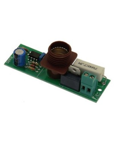 Плата лампы KIARO 24 Came 119RIR030 в Калуге Запчасти для шлагбаумов и автоматики Pintop.ru