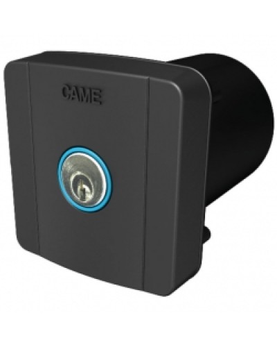 Ключ-выключатель встраиваемый Came 806SL-0020 в Калуге Запчасти для шлагбаумов и автоматики Pintop.ru