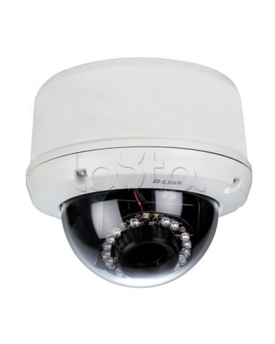 IP-камера видеонаблюдения уличная купольная D-Link DCS-6510/EP в Калуге IP-камеры Pintop.ru