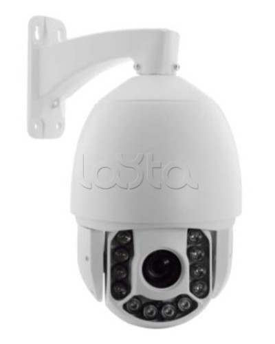 IP-камера видеонаблюдения купольная EverFocus ACE-ATE2033 в Калуге IP-камеры Pintop.ru