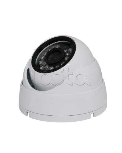 Камера видеонаблюдения купольная EverFocus ACE-IAB20XHD в Калуге Аналоговые камеры Pintop.ru