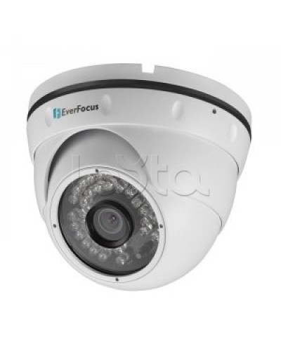 IP-камера видеонаблюдения купольная EverFocus ACE-IAV30 в Калуге IP-камеры Pintop.ru