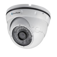 IP-камера видеонаблюдения уличная купольная EverFocus EBN-268