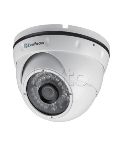 IP-камера видеонаблюдения уличная купольная EverFocus EBN-268 в Калуге IP-камеры Pintop.ru