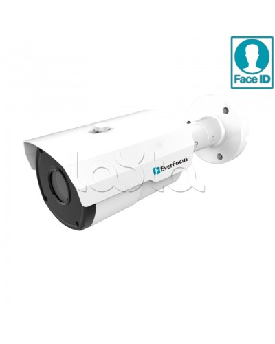 IP-камера видеонаблюдения в стандартном исполнении EverFocus EZN-2850 в Калуге IP-камеры Pintop.ru