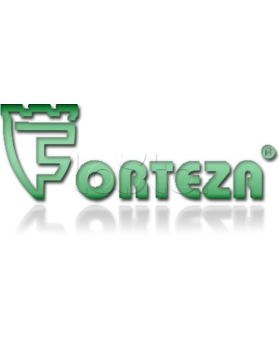 Плата сменная Forteza Плата БГр-4 в Калуге Устройства защиты операционных процессоров (ОПС) Pintop.ru