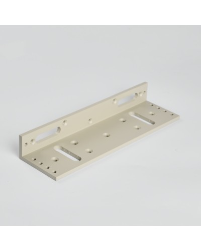 Монтажный аксеcсуар R-Lock RL-BR500-LG в Калуге Дополнительное оборудование для СКУД Pintop.ru