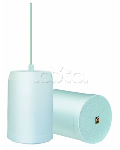 Громкоговоритель встраиваемый ROXTON SP-20T в Калуге Система оповещения и трансляции Roxton Pintop.ru