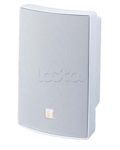 Громкоговоритель универсальный двухполосный TOA BS-1030W в Калуге Системы оповещения и трансляции TOA Pintop.ru