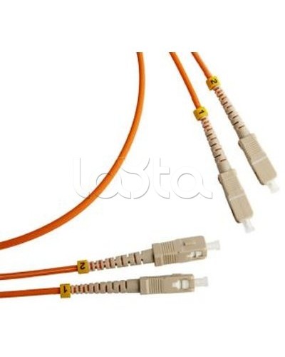 Патч-корд оптический TWT-2ST-2FC/SAU-5.0 в Калуге Патч-корды оптические Pintop.ru