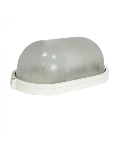 Светильник Бастион Skat LED-220 E27 IP54 в Калуге Светильники Pintop.ru