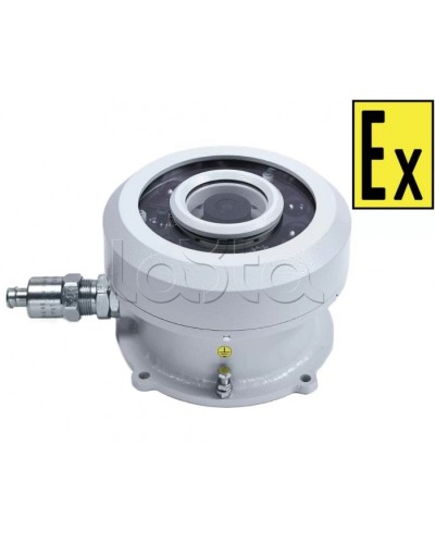 Видеокамера взрывозащищенная Компания СМД Орион МК ВК FishEye-А в Калуге Взрывозащищенные камеры Pintop.ru