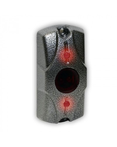 Олевс ЦИКЛОП ИК серебряный антик в Калуге Электромагнитные замки Pintop.ru