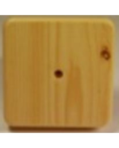 Коробка распаячная, с винтом, 100x100x20 (50 шт/уп) ПожТехКабель 030-009 в Калуге Распределительные коробки Pintop.ru