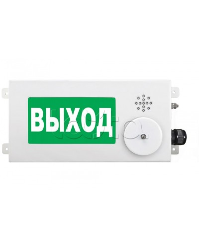 Табло световое взрывозащищенное Спектрон ТСВ-Exi-М-Прометей-МИНИ 12-36В в Калуге Оповещатели Ex Pintop.ru