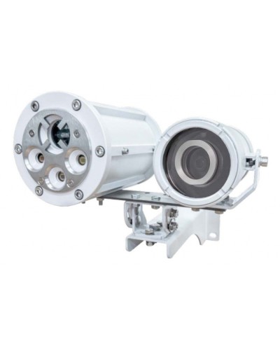 Извещатель пожарный пламени взрывозащищённый Спектрон-804-Exd-А-В-IP-HART в Калуге Пожарные извещатели Pintop.ru