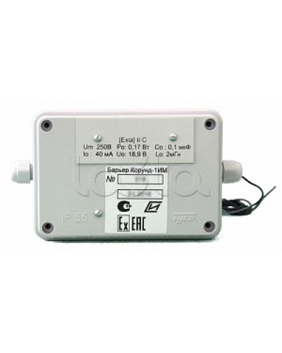 Барьер разделительный Специнформатика-СИ «Барьер КОРУНД 1ИМ» в Калуге Дополнительное оборудование для ОПС Pintop.ru