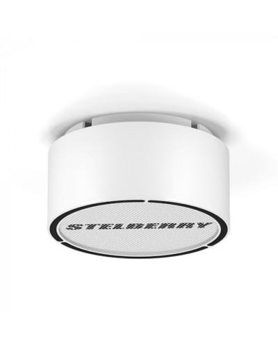 Громкоговоритель STELBERRY F-306W в Калуге Акустические системы Pintop.ru