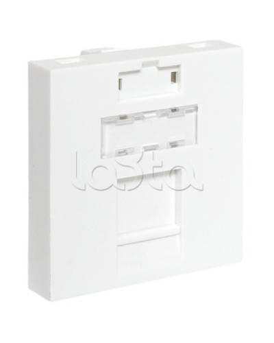 Вставка розеточная TERACOM PRO 45x45мм формат Mosaic на 1 модуль Keystone белая EKF (TRP-INS-MOS-2M1P-WH) в Калуге Розетки компьютерные и телефонные Pintop.ru