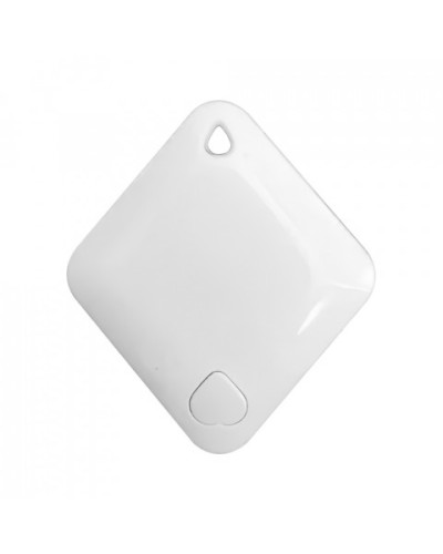 Брелок-идентификатор BLE ProxWay PW-Tag S1 W в Калуге Оптовые идентификаторы Pintop.ru